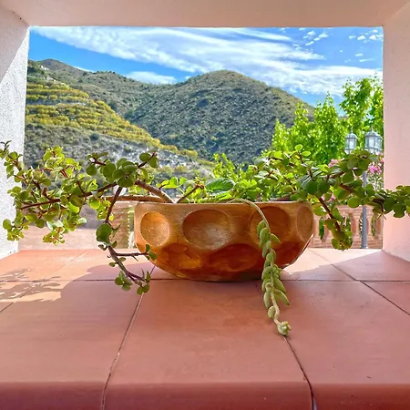 Villa Francisca Málaga